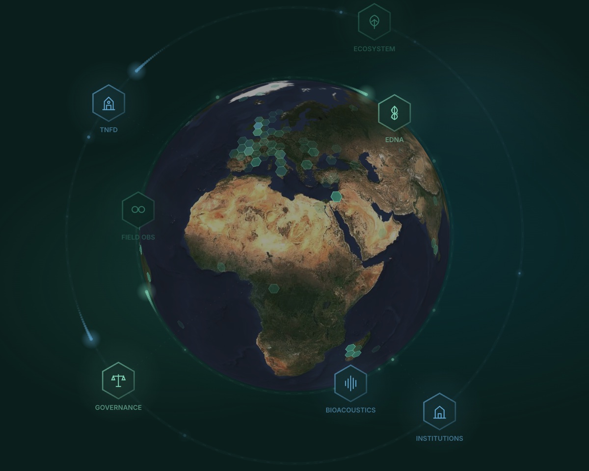 The LUCA globe